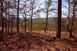 property photo for Stone Creek Phase II Tract 98, 9.71 acres for sale in Latimer County, Oklahoma