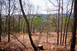 property photo for Stone Creek Phase II Tract 98, 9.71 acres for sale in Latimer County, Oklahoma