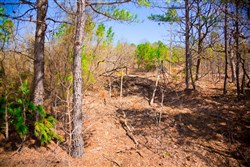 property photo for Stone Creek Phase II Tract 98, 9.71 acres for sale in Latimer County, Oklahoma
