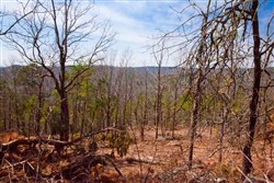 property photo for Stone Creek Phase II Tract 99, 7.69 acres for sale in Latimer County, Oklahoma