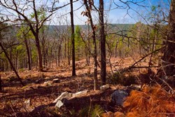 property photo for Stone Creek Phase II Tract 99, 7.69 acres for sale in Latimer County, Oklahoma