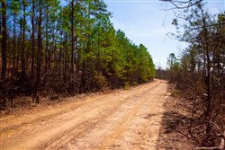 property photo for Stone Creek Phase II Tract 99, 7.69 acres for sale in Latimer County, Oklahoma