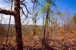 property photo for Stone Creek Phase II Tract 99, 7.69 acres for sale in Latimer County, Oklahoma