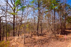 property photo for Stone Creek Phase II Tract 99, 7.69 acres for sale in Latimer County, Oklahoma