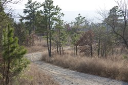property photo for Stone Creek Phase III Tract 89, 14.97 acres for sale in Latimer County, Oklahoma