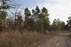 property photo for Stone Creek Phase III Tract 89, 14.97 acres for sale in Latimer County, Oklahoma