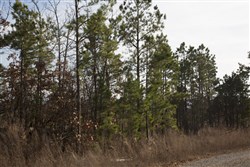 property photo for Stone Creek Phase III Tract 89, 14.97 acres for sale in Latimer County, Oklahoma