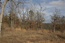 property photo for Stone Creek Phase III Tract 90, 13.57 acres for sale in Latimer County, Oklahoma