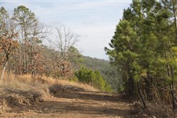 property photo for Stone Creek Phase III Tract 90, 13.57 acres for sale in Latimer County, Oklahoma