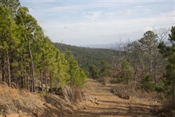 property photo for Stone Creek Phase III Tract 90, 13.57 acres for sale in Latimer County, Oklahoma