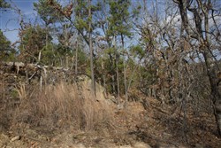 property photo for Stone Creek Phase III Tract 92, 8.52 acres for sale in Latimer County, Oklahoma