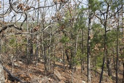 property photo for Stone Creek Phase III Tract 92, 8.52 acres for sale in Latimer County, Oklahoma