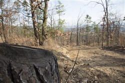 property photo for Stone Creek Phase III Tract 92, 8.52 acres for sale in Latimer County, Oklahoma
