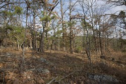 property photo for Stone Creek Phase III Tract 92, 8.52 acres for sale in Latimer County, Oklahoma