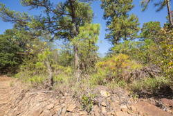 property photo for Stone Bridge Phase I Tract 19, 7.08 acres for sale in LatimerHaskell County, Oklahoma