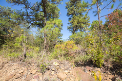 property photo for Stone Bridge Phase I Tract 19, 7.08 acres for sale in LatimerHaskell County, Oklahoma