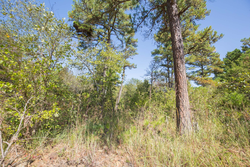 property photo for Stone Bridge Phase I Tract 19, 7.08 acres for sale in LatimerHaskell County, Oklahoma