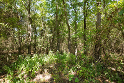 property photo for Stone Bridge Phase I Tract 19, 7.08 acres for sale in LatimerHaskell County, Oklahoma