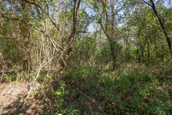 property photo for Stone Bridge Phase I Tract 19, 7.08 acres for sale in LatimerHaskell County, Oklahoma
