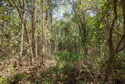 property photo for Stone Bridge Phase I Tract 19, 7.08 acres for sale in LatimerHaskell County, Oklahoma