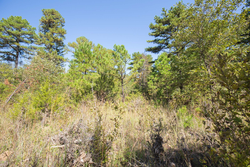property photo for Stone Bridge Phase I Tract 19, 7.08 acres for sale in LatimerHaskell County, Oklahoma