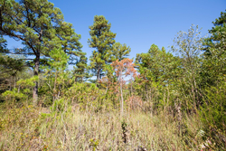 property photo for Stone Bridge Phase I Tract 19, 7.08 acres for sale in LatimerHaskell County, Oklahoma