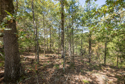 property photo for Stone Bridge Phase I Tract 20, 4.01 acres for sale in LatimerHaskell County, Oklahoma