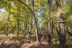 property photo for Stone Bridge Phase I Tract 20, 4.01 acres for sale in LatimerHaskell County, Oklahoma