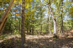 property photo for Stone Bridge Phase I Tract 20, 4.01 acres for sale in LatimerHaskell County, Oklahoma