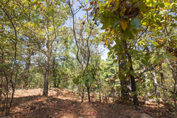 property photo for Stone Bridge Phase I Tract 20, 4.01 acres for sale in LatimerHaskell County, Oklahoma