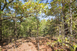 property photo for Stone Bridge Phase I Tract 20, 4.01 acres for sale in LatimerHaskell County, Oklahoma