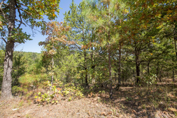 property photo for Stone Bridge Phase I Tract 20, 4.01 acres for sale in LatimerHaskell County, Oklahoma