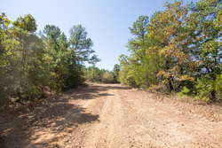 property photo for Stone Bridge Phase I Tract 20, 4.01 acres for sale in LatimerHaskell County, Oklahoma