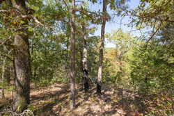 property photo for Stone Bridge Phase I Tract 20, 4.01 acres for sale in LatimerHaskell County, Oklahoma
