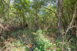 property photo for Stone Bridge Phase I Tract 28, 7.26 acres for sale in LatimerHaskell County, Oklahoma