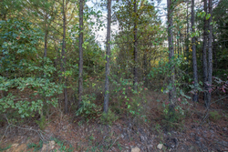 property photo for Stone Bridge Phase I Tract 43, 13.47 acres for sale in LatimerHaskell County, Oklahoma
