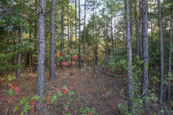 property photo for Stone Bridge Phase I Tract 43, 13.47 acres for sale in LatimerHaskell County, Oklahoma