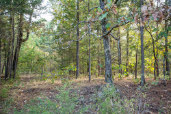 property photo for Stone Bridge Phase I Tract 43, 13.47 acres for sale in LatimerHaskell County, Oklahoma