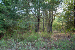 property photo for Stone Bridge Phase I Tract 43, 13.47 acres for sale in LatimerHaskell County, Oklahoma