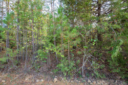property photo for Stone Bridge Phase I Tract 43, 13.47 acres for sale in LatimerHaskell County, Oklahoma