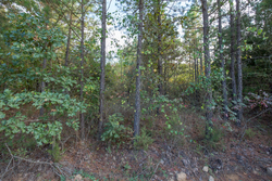 property photo for Stone Bridge Phase I Tract 43, 13.47 acres for sale in LatimerHaskell County, Oklahoma