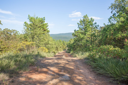 property photo for Stone Bridge Phase I Tract 55, 8.99 acres for sale in LatimerHaskell County, Oklahoma