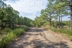 property photo for Stone Bridge Phase I Tract 55, 8.99 acres for sale in LatimerHaskell County, Oklahoma