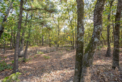 property photo for Stone Bridge Phase I Tract 55, 8.99 acres for sale in LatimerHaskell County, Oklahoma