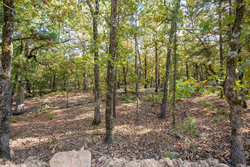 property photo for Stone Bridge Phase I Tract 55, 8.99 acres for sale in LatimerHaskell County, Oklahoma