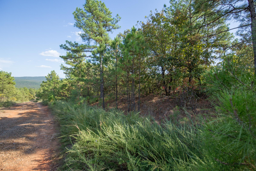 8.99 acre rural land tract for sale at Stone Bridge Phase I Tract 55 in LatimerHaskell County, Oklahoma