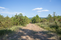 property photo for Stone Bridge Phase I Tract 56, 13.18 acres for sale in LatimerHaskell County, Oklahoma