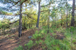 property photo for Stone Bridge Phase I Tract 56, 13.18 acres for sale in LatimerHaskell County, Oklahoma