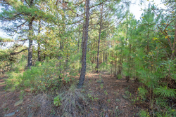property photo for Stone Bridge Phase I Tract 56, 13.18 acres for sale in LatimerHaskell County, Oklahoma