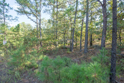 property photo for Stone Bridge Phase I Tract 56, 13.18 acres for sale in LatimerHaskell County, Oklahoma